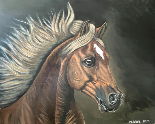 Spanish horse signed original - spanish,