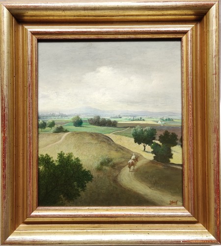 Manuel spanish landscape - spanish,